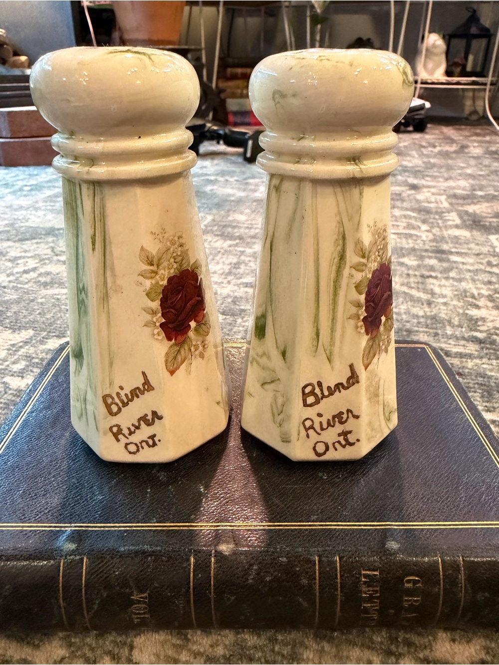 Vintage Floral Ceramic Salt and Pepper Shakers - Blind River Ontario